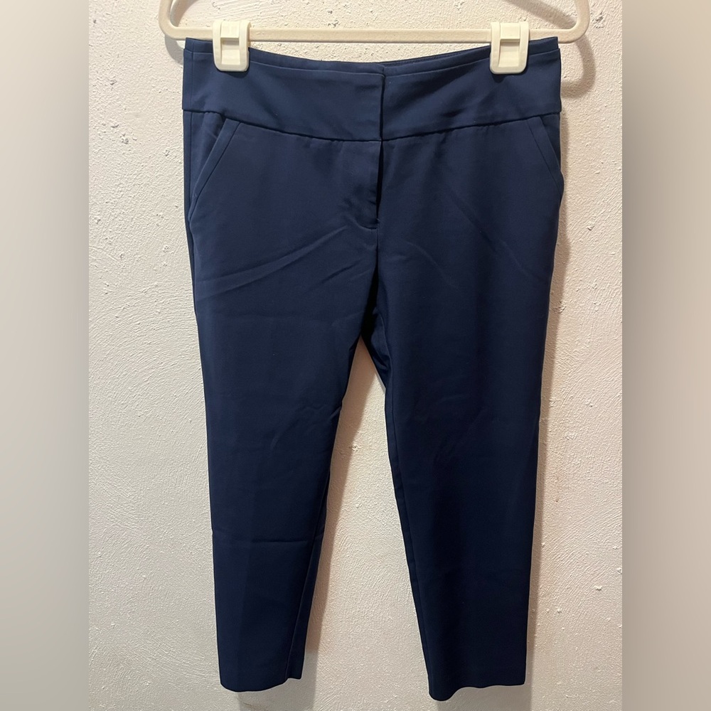 Avenue Blue Ankle Cropped Pants with Slim Fit